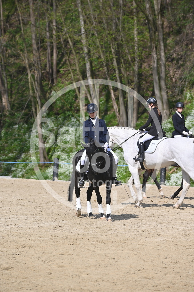 DSC_1031 | sattelsport - Realisiert mit Pictrs.com