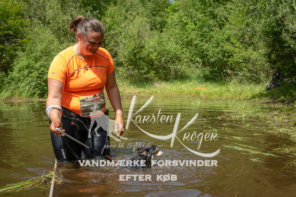1255DKK993749 | kk-dogfotos