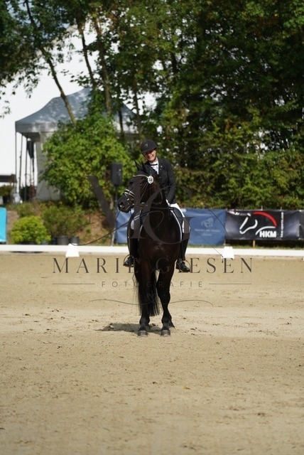 VAN00863 | Marie Giesen Fotografie - Realisiert mit Pictrs.com