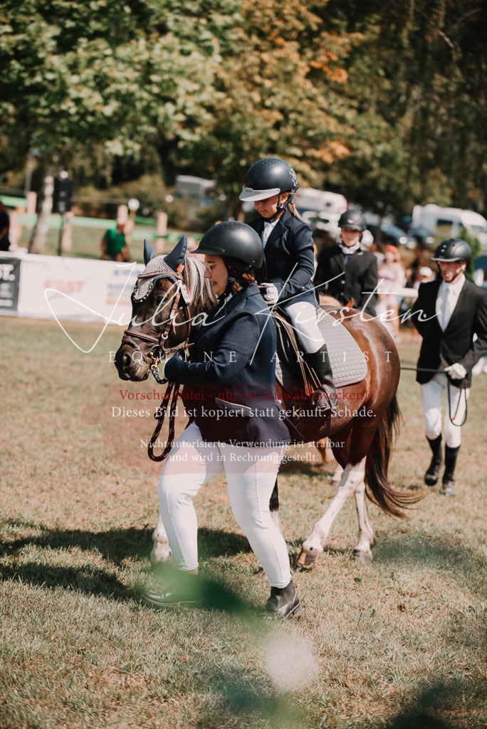 DSC_6024 | Pferde- und Turnierfotografie in Westsachsen. Pferdeportraits, Auftragszeichnungen und intuitive Kunst.