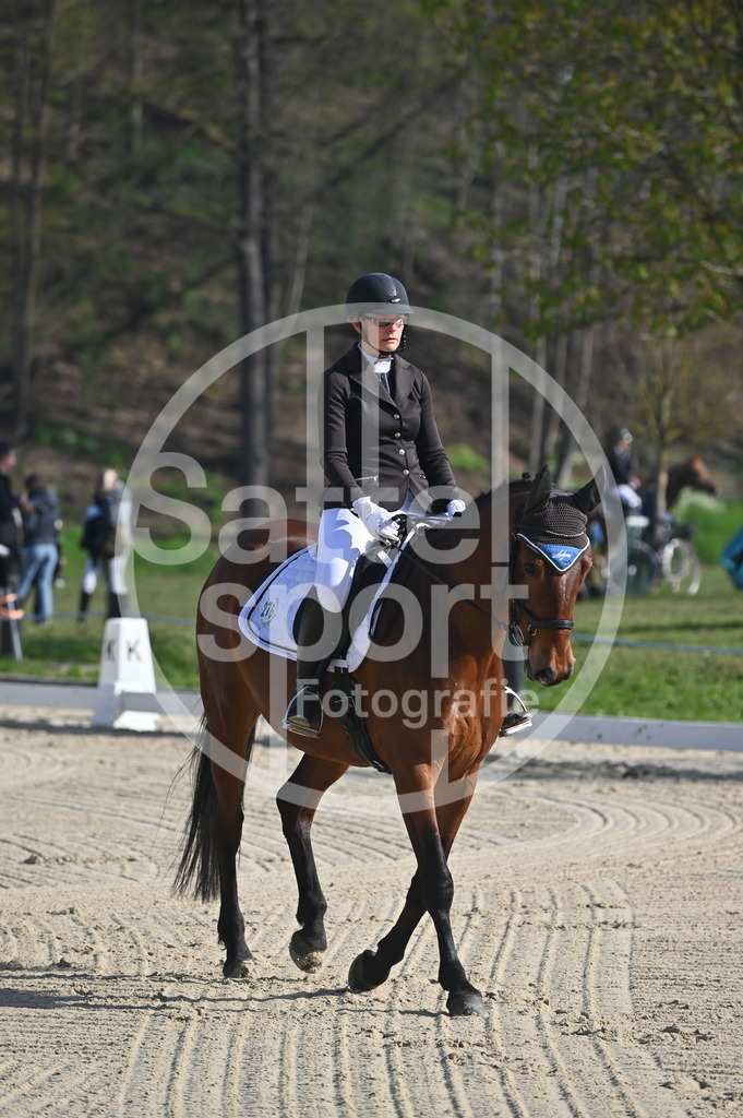 DSC_9990 | sattelsport - Realisiert mit Pictrs.com