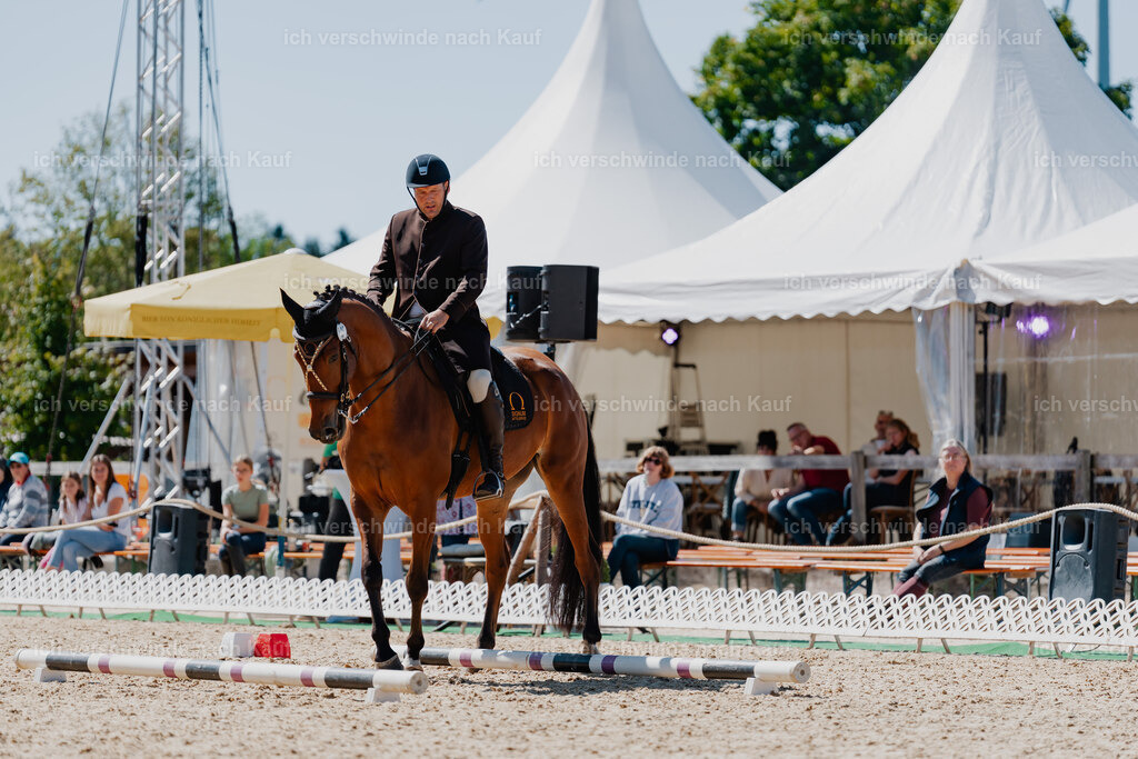 Gernot25_FHC2025-08318 | working equitationturnier fotograf videograf stoibphotography marixx film working equitation deutschland reitsport turnierfotografie eventfotografie equestrian events