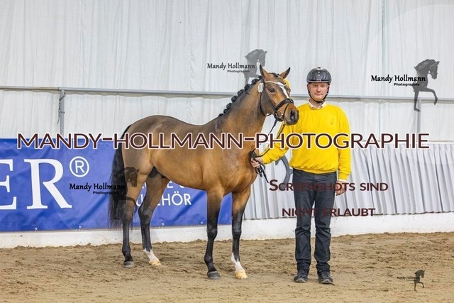 17 (61) | mandyhollmannphotographie