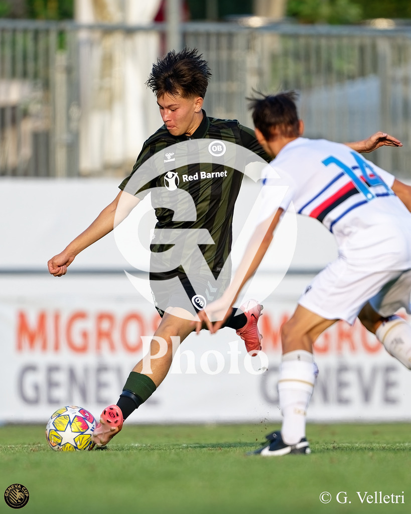 DZ9_7440 | Velletri Photo