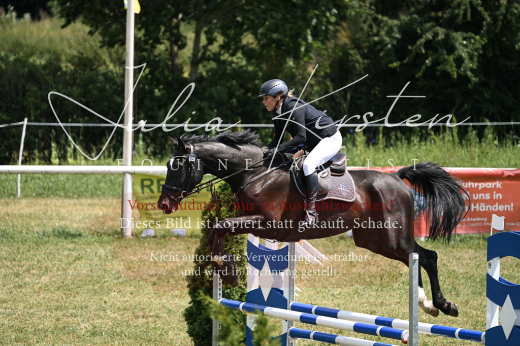 DSC_9748 | Pferde- und Turnierfotografie in Westsachsen. Pferdeportraits, Auftragszeichnungen und intuitive Kunst.