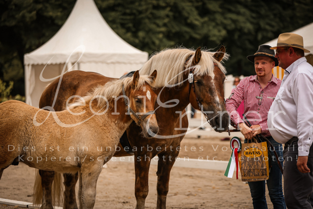 SaHF00125 | Leoni Ertmer Photography - Realisiert mit Pictrs.com