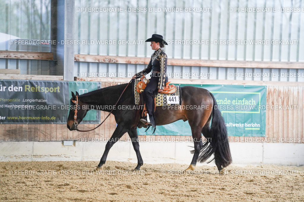 DSC08911 | Pferdegrafie