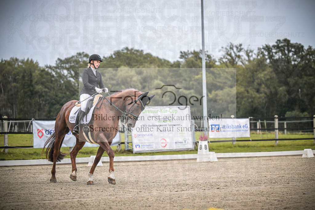 DOS_0036 | Entdecke hochwertige Reitturnierfotos von Foto Oger. Professionell, emotional und authentisch – jetzt Lieblingsmomente im Shop bestellen.Deutschlandweite Turnierfotografie. - Realisiert mit Pictrs.com