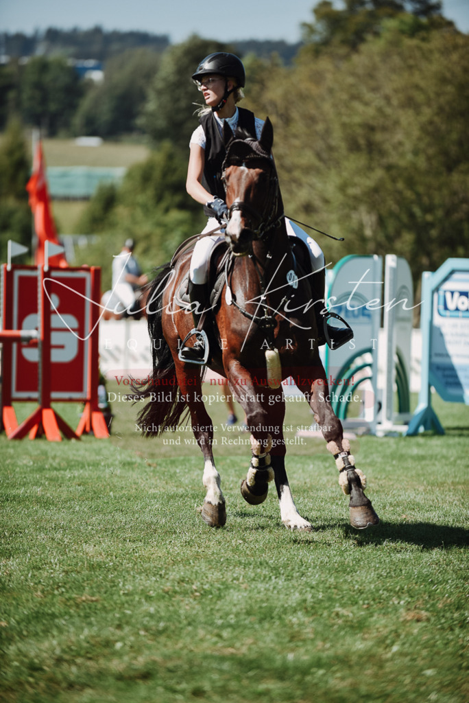 DSC_3174 | Pferde- und Turnierfotografie in Westsachsen. Pferdeportraits, Auftragszeichnungen und intuitive Kunst.