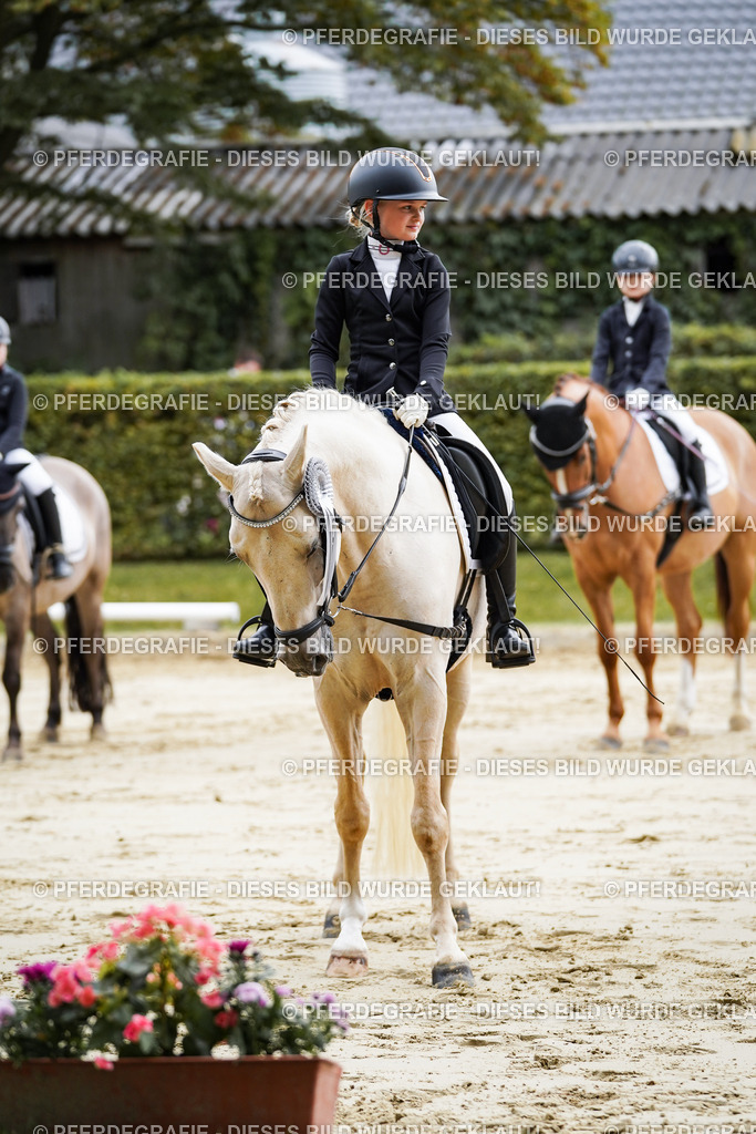 DSC05739 | Pferdegrafie