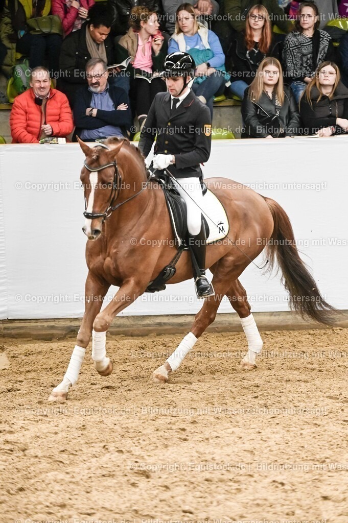 20260307_Hengstvorstellung-Marbach_0222 | equistock