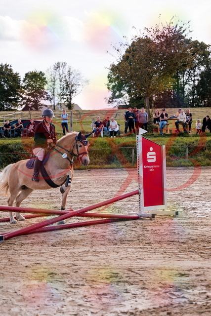 2026_10_03_Siefer-Hof_145246_Z81_31775254 | Professionelle Reitsport-, Turnier- und Eventfotografie von Robert Broda. Galerien mit ausgewählten und bearbeiteten Bildern direkt online ansehen und bestellen.