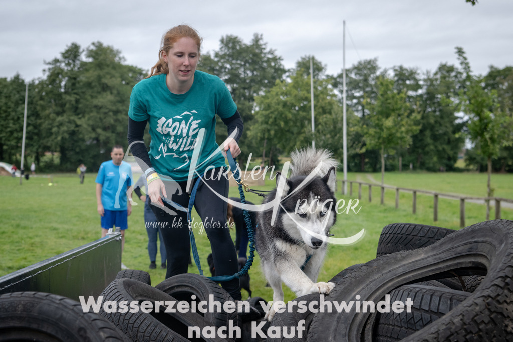 1231_ZZ91013 | kk-dogfotos