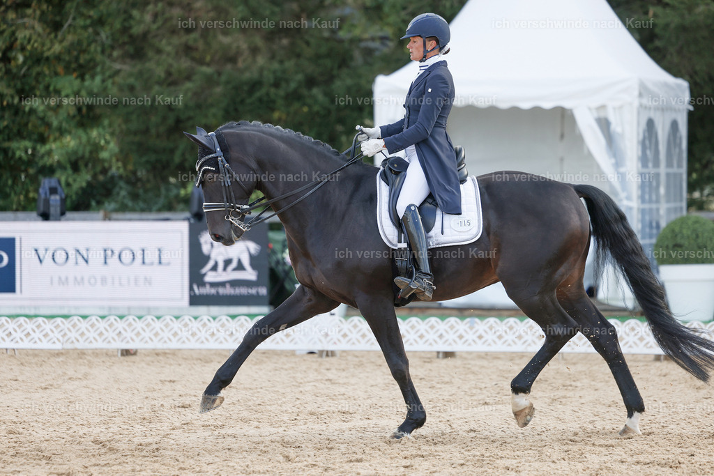 09_1-115-DRESSUR  S_  -StoibPH-5598 | working equitationturnier fotograf videograf stoibphotography marixx film working equitation deutschland reitsport turnierfotografie eventfotografie equestrian events