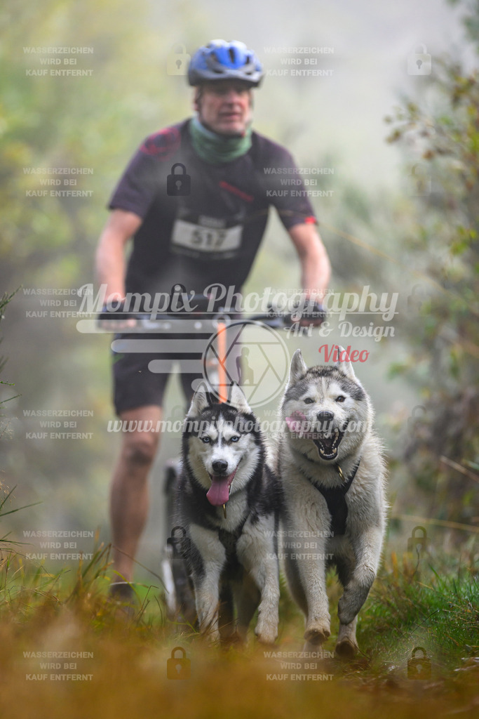 MompixPhotography_20TSB_E4_DS2-29 | PayLife