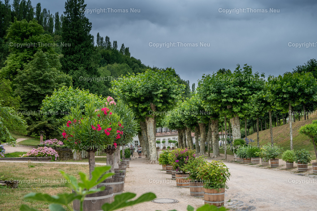 DSC_4522 | Der Staatspark Fürstenlager in Bensheim Auerbach, an der hessischen Bergstraße- ist ein wunderschöner Landschaftspark nach englischen Vorbild. Es war die Sommerresidenz der Darmstädter Fürstenfamilie die hier das "einfache Landleben" genossen. Zu jeder Jahreszeit kann man das Fürstenlager als Ausflugsziel empfehlen. Im Herrenhaus ist eine Gastronomie untergebracht. Im Sommer findet auf der Bühne vor der großen Wiese ein Opern-Air statt, 
