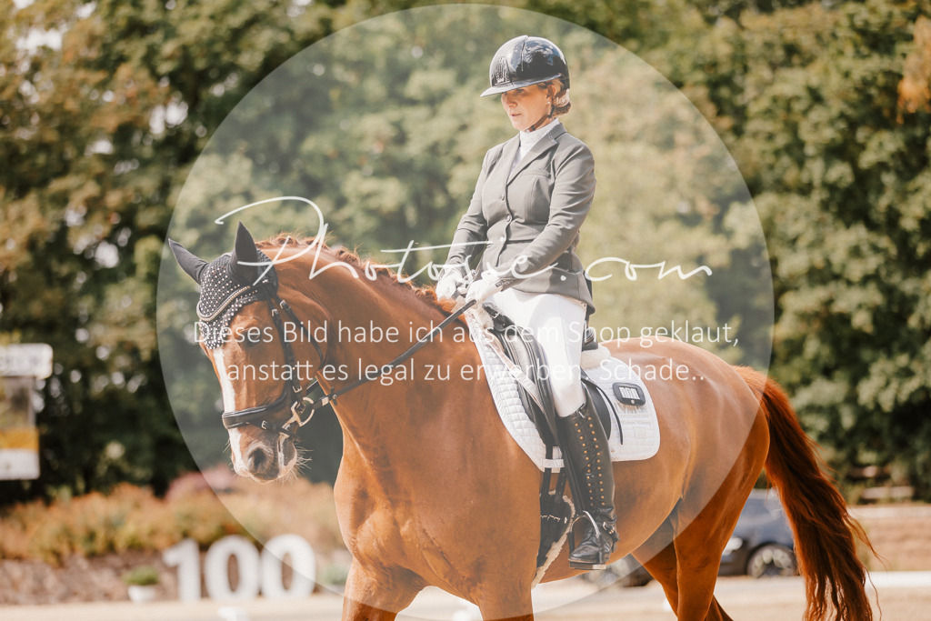 3I6A6036 | Stimmungsvolle Portraits und Reitsportfotografie im Ruhrgebiet und im Münsterland.

Pferdefotografie, Hundefotografie, Tierfotografie, Reportagen, Portraits von Tier und Mensch, Turnierfotografie in Bochum, Recklinghausen, Marl, Haltern am See, Dülmen.. - Realisiert mit Pictrs.com
