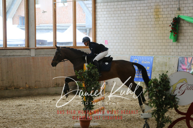 IMG_0653 | Turnierfotos kaufen im Webshop von Daniel Kuhl Photography – entdecke professionelle Reitsportfotos aus Turnieren & Events. Hochwertige Turnierbilder online bestellen & sichern. Jetzt Fotos von Reitsportturnieren kaufen!