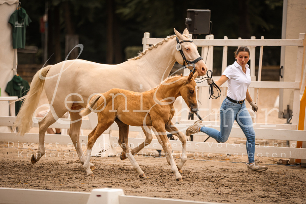 SaPA00256 | Leoni Ertmer Photography - Realisiert mit Pictrs.com