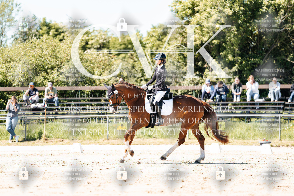 CK905334 | Turnierfotografie Pferdefotografie Trier Rheinland-Pfalz Pferdesport Reitsport Tierfotografie Sportfotografie Pferdevideo Pferdevideografie Equestrianvideography equestrianphotography  - Realisiert mit Pictrs.com
