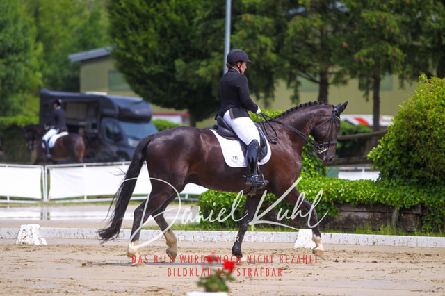 DKP40591 | Turniersportfotografie; Pferdefotografie; Dressurfotografie