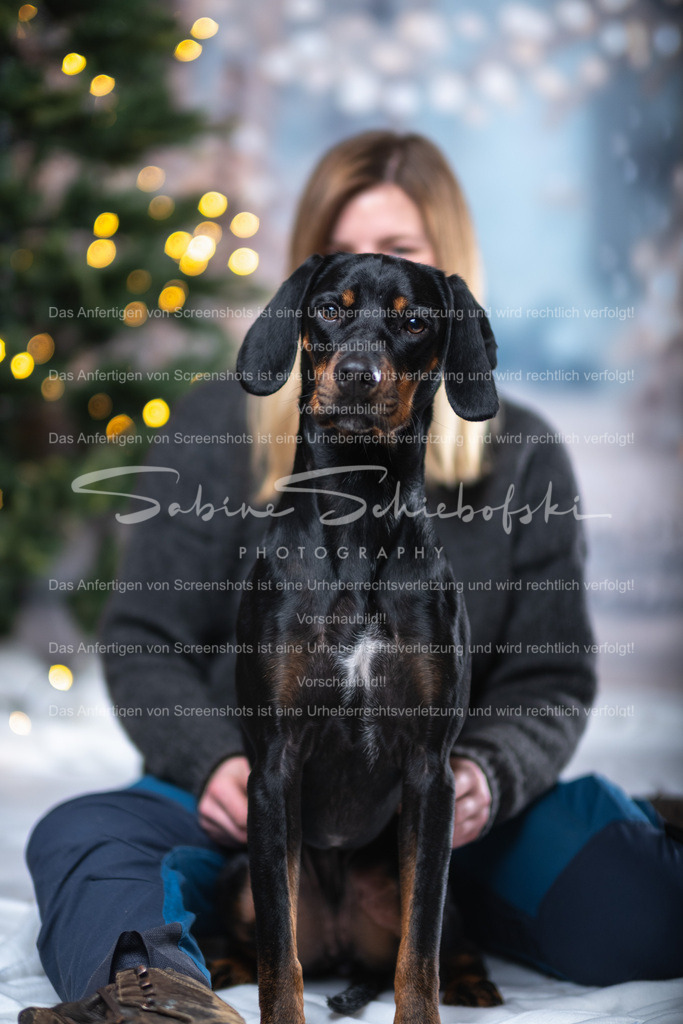 DSCF4346 | People- und Tierfotografie, Imageaufnahmen, Veranstaltungsfotografie und Wandbilder aus der Natur ★ Made in Germany ✔️ Druck + Downloads ✔️ Naturfotografie in Top Qualität ★ schneller Versand, weltweite Lieferung! - Realisiert mit Pictrs.com