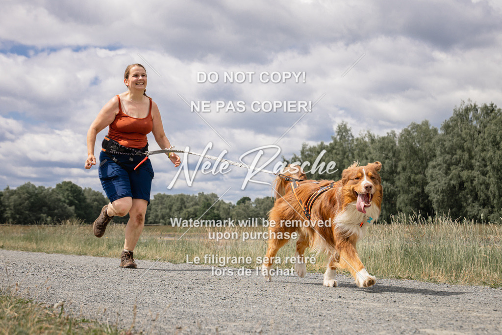 nelerasche_BuHu2026_SaCC1100-1200_204 | nelerasche