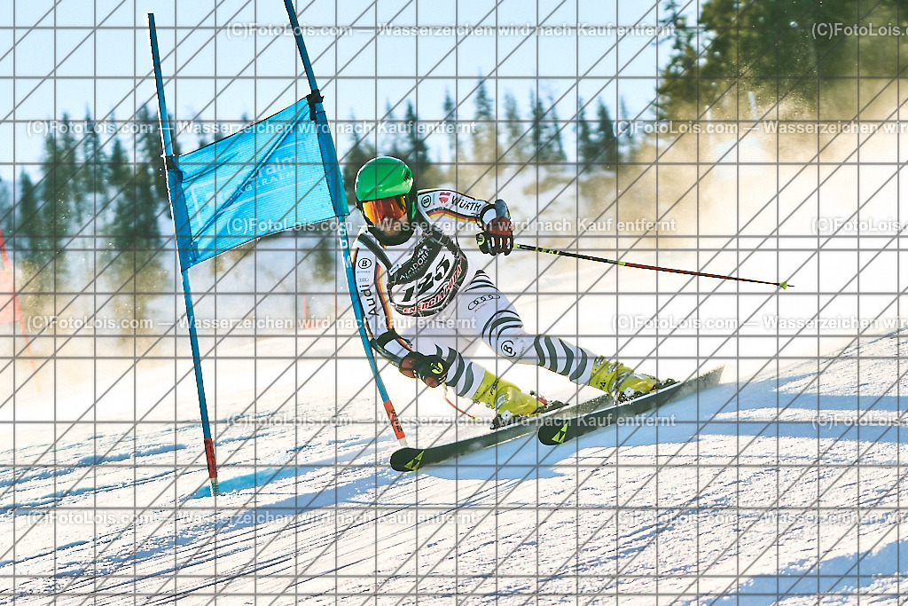 ALP1264_FIS-MastersCup_Reiteralm_Giant-SL_Mayer Johann | FIS-MastersCup GIANT-SLALOM auf der Reiteralm in Pichl, Sa 18. Jänner 2025.