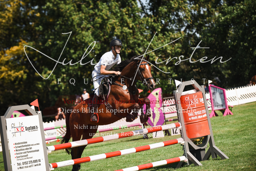 DSC_2812 | Pferde- und Turnierfotografie in Westsachsen. Pferdeportraits, Auftragszeichnungen und intuitive Kunst.
