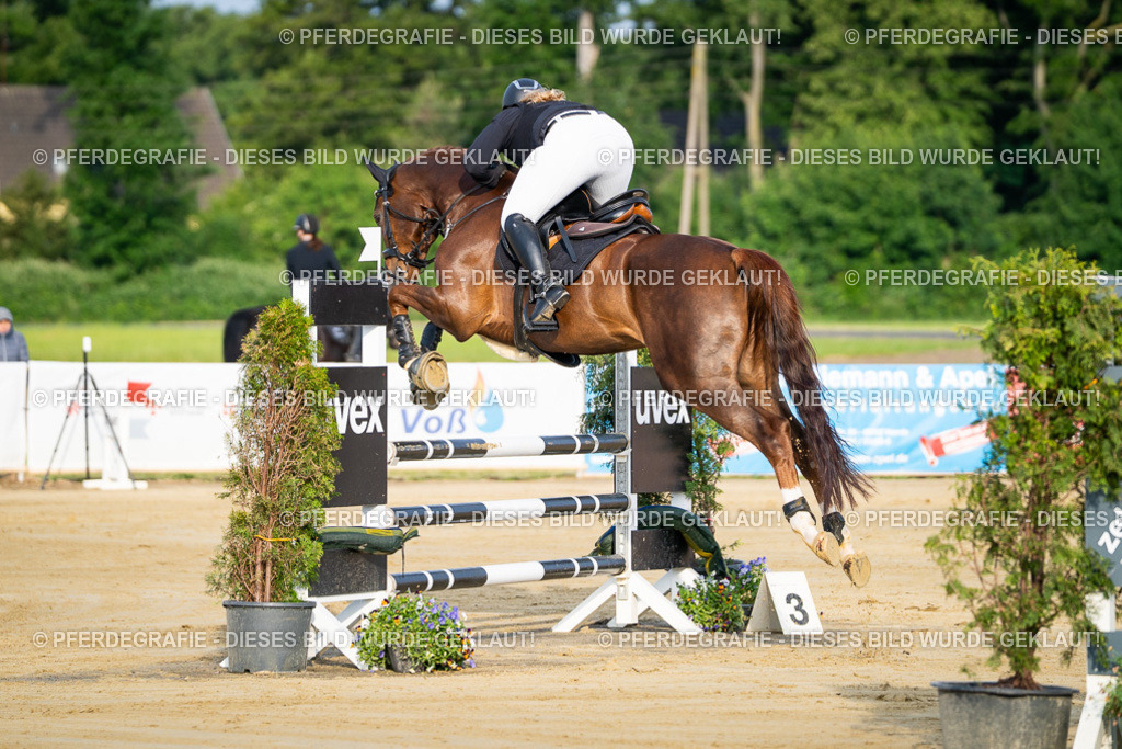 DSC01910 | Pferdegrafie