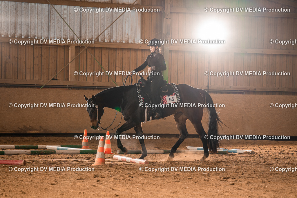 BA400024 | dv-media-shop - Realisiert mit Pictrs.com