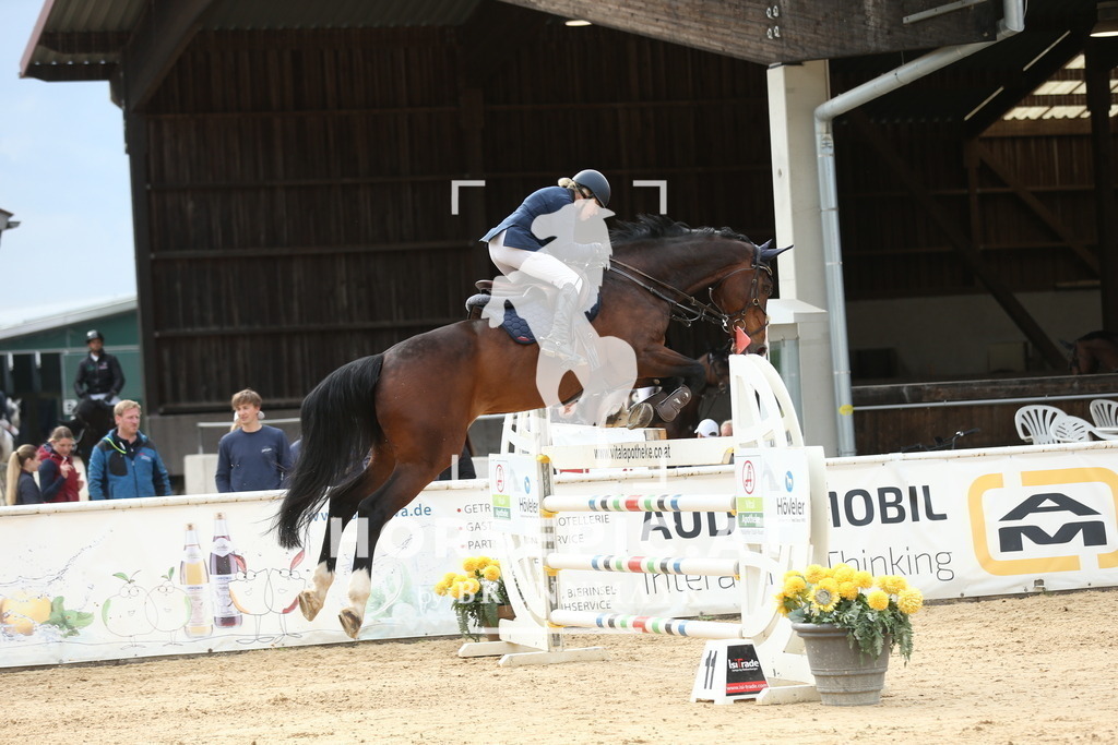 DL2Q4029 | Willkommen bei Brunnmayr - Design & Fotografie – Ihrem Spezialisten für Reitturniere und Pferdeveranstaltungen in Oberösterreich, Salzburg und Bayern! Seit über 17 Jahren sind wir leidenschaftlich dabei.