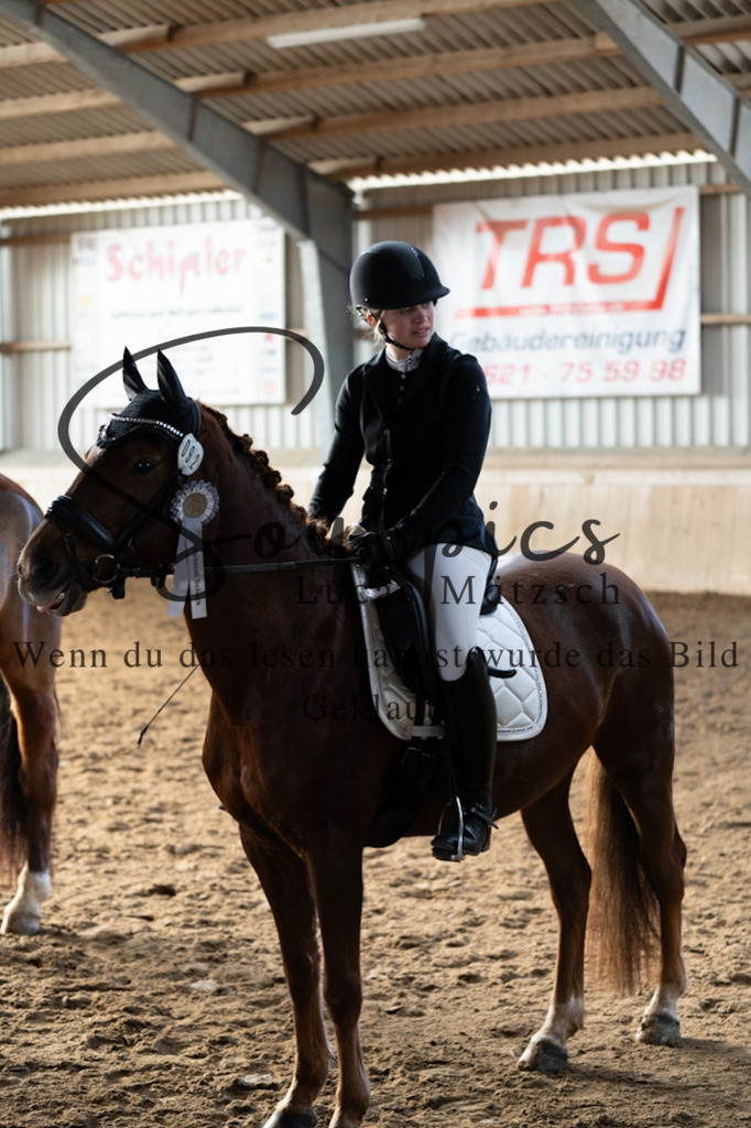 A7V05530 | Pferdefotograf