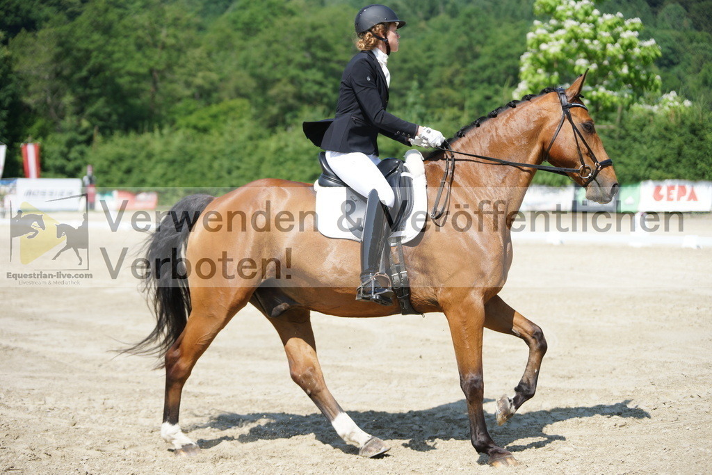 DSC01548 | equestrian-live-com