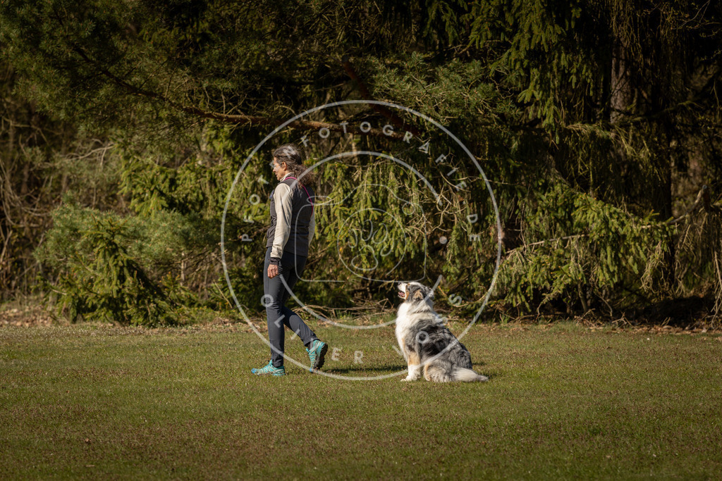 Pfotenfotografie_DV3A0530 | Hundefotografie, Tierfotograf, Pfotenfotografie, Fotoshooting Hund, Hunde Portrait, Hundesport, Hundeportraits, Heideshooting, Hunde, Sportfotograf, Hundefotograf, Turnierhundsport, THS,  - Realisiert mit Pictrs.com