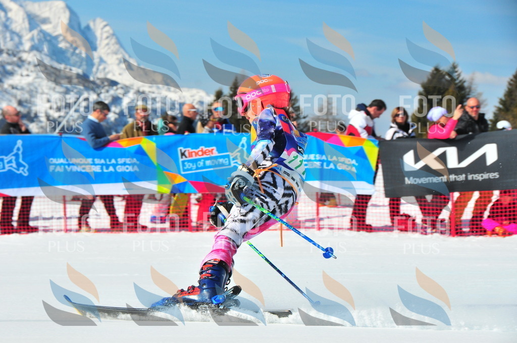 DSC_0853 | holidayphoto