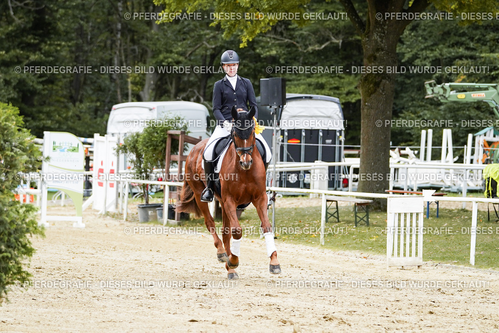 DSC02447 | Pferdegrafie