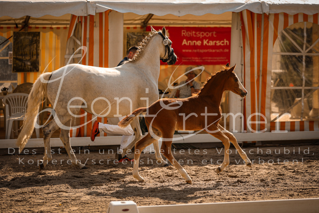 10.DoRP00224 | Leoni Ertmer Photography - Realisiert mit Pictrs.com