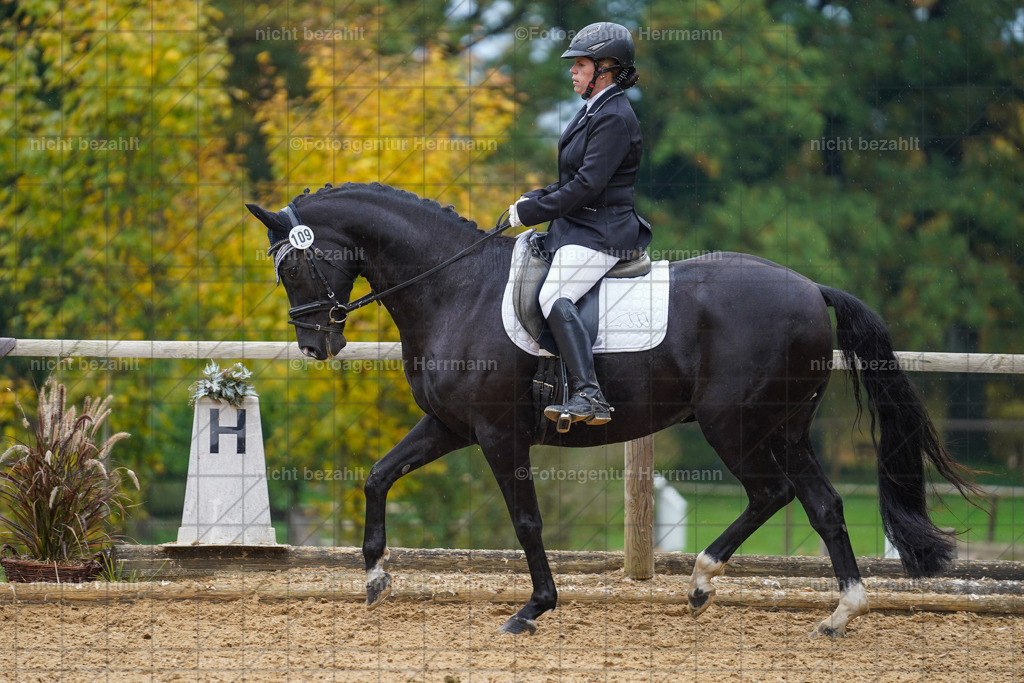 20221008-FAH01875 | Diessen am Ammersee, 2022, Dressur- und Springturnier, Reitsportbilder, Turnierfotografen Bayern, Pferdefotografen, Fotoagentur Herrmann, Turnierbilder