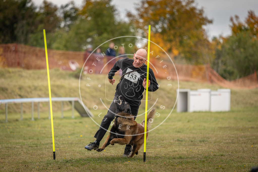 Pfotenfotografie_DV3A6300 | Hundefotografie, Tierfotograf, Pfotenfotografie, Fotoshooting Hund, Hunde Portrait, Hundesport, Hundeportraits, Heideshooting, Hunde, Sportfotograf, Hundefotograf, Turnierhundsport, THS,  - Realisiert mit Pictrs.com