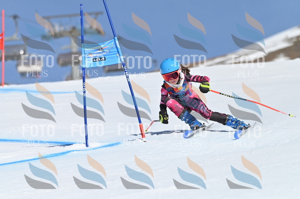 BGV_8871 | holidayphoto