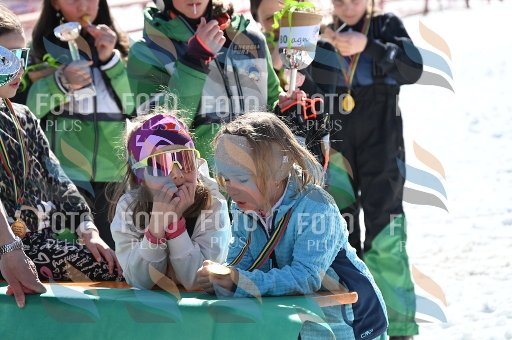 C7397 | holidayphoto