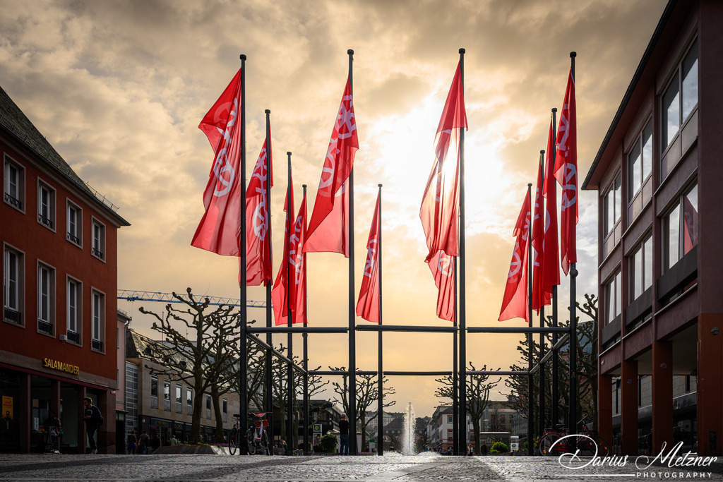 DSC_8689 | Fotografien, Fotos und Bilder aus Mainz, Frankfurt, Wiesbaden und anderen Orten auf der Welt - Fotografiert von Darius Metzner