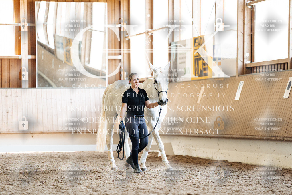 CK907736 | Turnierfotografie Pferdefotografie Trier Rheinland-Pfalz Pferdesport Reitsport Tierfotografie Sportfotografie Pferdevideo Pferdevideografie Equestrianvideography equestrianphotography  - Realisiert mit Pictrs.com