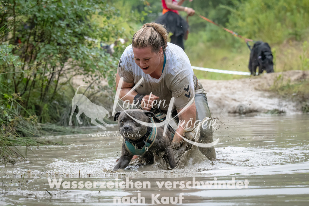 1034_ZZ94994 | kk-dogfotos