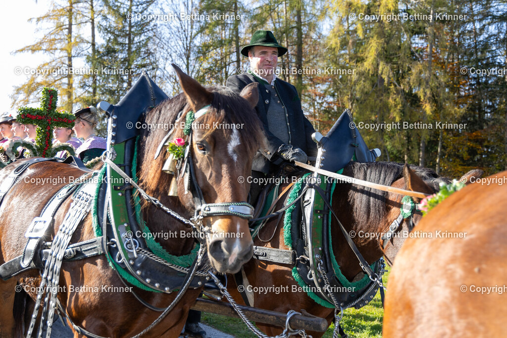 LBT24-1375 | foto-bettina-krinner - Realisiert mit Pictrs.com