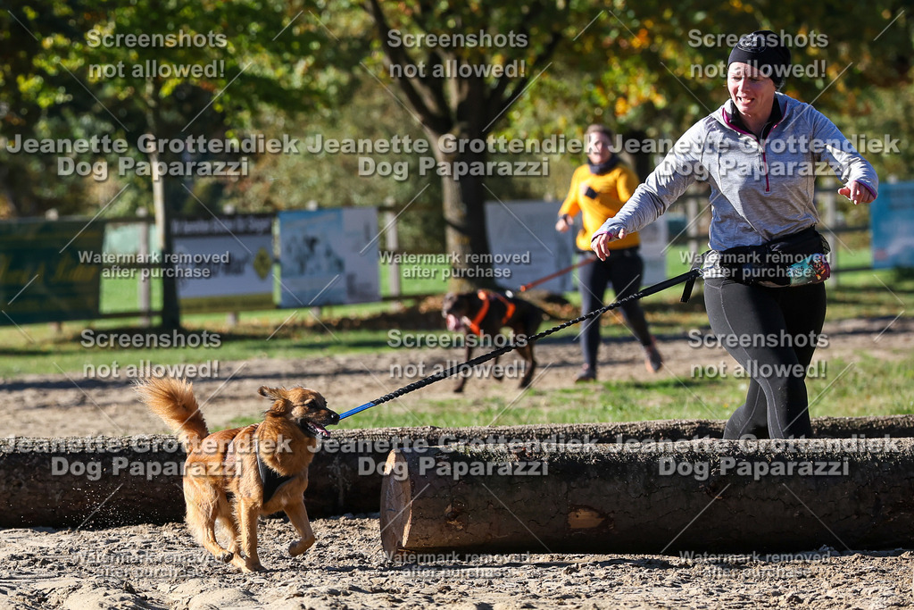 Dog Paparazzi - Strongdog 10-25-2275 | Dog Paparazzi Jeanette Grottendiek Fotografie & Videografie - Realisiert mit Pictrs.com