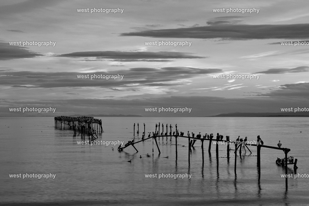 Estrecho de Magallanes sw - CHI 2011 | west photography - Realisiert mit Pictrs.com