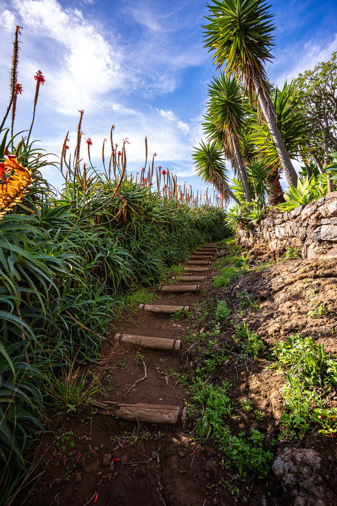 DSC05471 (23) | <meta name="keywords" content="Bergbilder, Hochzeitsfotografie, Actionshootings, Fotografiearbeiten, Berglandschaften, Naturfotografie">

 - Realisiert mit Pictrs.com