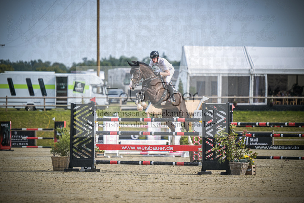 DOS_0063 | Entdecke hochwertige Reitturnierfotos von Foto Oger. Professionell, emotional und authentisch – jetzt Lieblingsmomente im Shop bestellen.Deutschlandweite Turnierfotografie. - Realisiert mit Pictrs.com